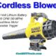 Dewalt Cordless Blower